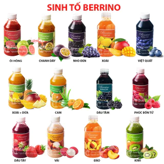 Sinh Tố Berrino Các Vị --1Lít---