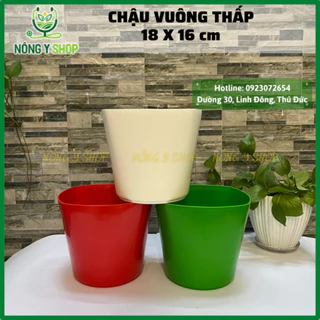 Chậu nhựa vuông thấp 18, Size 18-16cm, chậu vuông thấp, chậu nhựa dày, bóng, chậu hoa, cây kiểng, chậu nhiều màu sắc