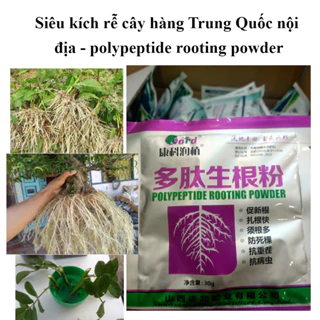Gói 30gr Bột siêu kích rễ, bật chồi hàng nội địa Trung Quốc Polypeptide Rooting Powder