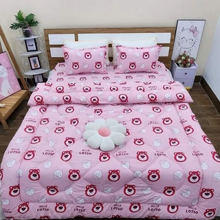 Bộ 5 món chăn phao ga gối poly cotton hàng loại 1 dày dặn