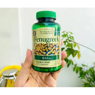 Lợi sữa Fenugreek thông tắc tăng tiết sữa tăng cường đề kháng cho phụ nữ sau sinh