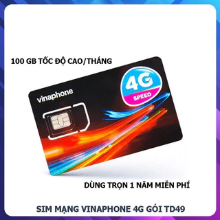 Sim 4G Data Vinaphone 12 tháng TD49 100G/tháng miễn phí không phải nạp thẻ mua về là sử dụng 12 tháng tốc độ cao