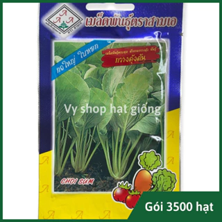 Hạt giống rau cải ngọt cao sản Thái Lan gói 3500 hạt