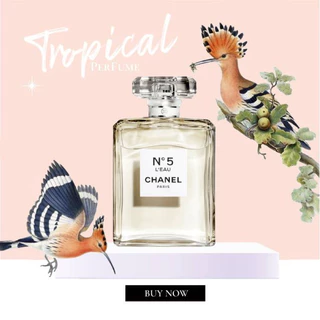 [𝕥𝕣𝕠𝕡𝕚𝕔𝕒𝕝] Nước Hoa No5  L'Eau 5ml/10ml/20ml