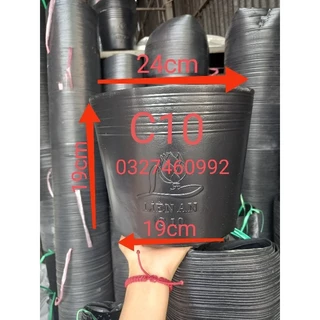 Combo 50 chậu nhựa đen c10 trồng cây