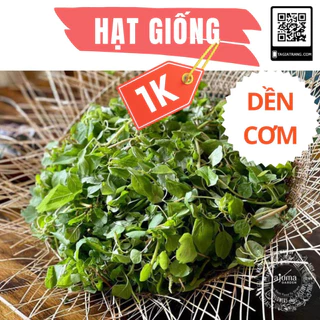 Deal 1K - 100 Hạt giống rau dền cơm siêu dễ trồng - Tập làm vườn cùng Tạ Gia Trang