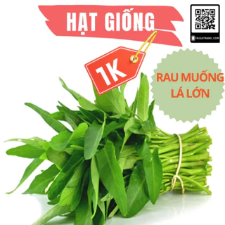 Deal 1K - 30 Hạt giống rau muống lá lớn - Tập làm vườn cùng Tạ Gia Trang