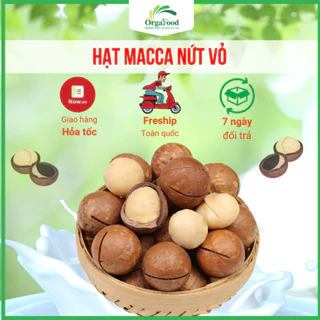 Hạt macca nứt vỏ Daklak organic 500g macca tươi size 25-28 mm tặng kèm đồ khui hạt Orgafood