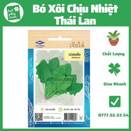 Hạt giống cải bó xôi Thái Lan, năng suất nẩy mầm cao(2g)