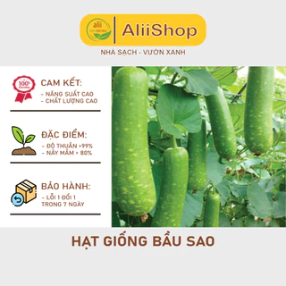 Hạt giống Bầu Sao siêu ngon