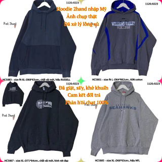 Áo Hoodie 2hand Oversize nữ, nam, chất dày, size lớn, form bồng - 080922-2