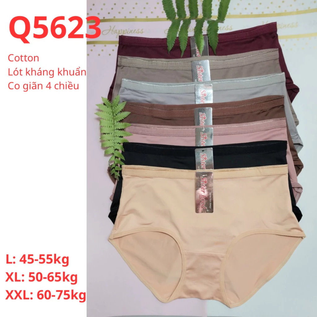 Quần lót nữ THÁI LAN cotton pha lạnh, lót kháng khuẩn, ôm mông lưng vừa Sister hood 5623, size L,XL,XXL;Hưng Thịnh Phát