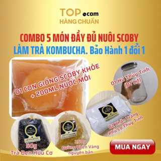 Combo 5 món SCOBY Cực Khỏe + Nước mồi KOMBUCHGA 200ml  LÀM TRÀ Lên Men Nhanh có hướng dẫn chi tiết cho người mới