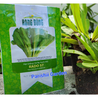 Hạt giống Cải bẹ xanh mỡ Rado 57 (20g)