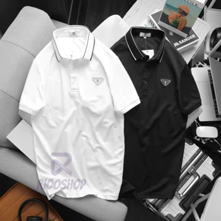 Áo thun nam cotton mè trắng đen đẹp, áo phông polo nam có cổ vnxk cao cấp, có size lớn, big size RIOOSHOP RCP002
