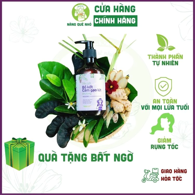 Dầu Gội Bồ Kết Gừng Cám Gạo Ngăn Rụng Tóc, Dầu Gội Thảo Dược Phục Hồi Tóc Bồ Kết Cô Đặc Kích Thích Mọc Tóc 500ml