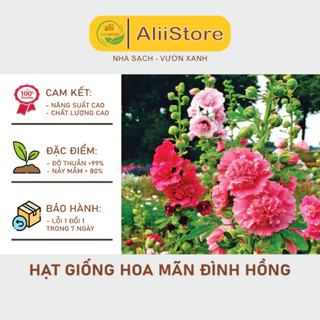 Hạt Giống Hoa Mãn Đình Hồng Kép (Mix Màu) - 30 Hạt