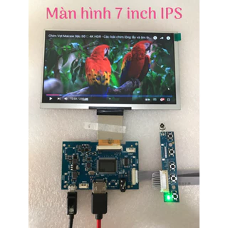 Màn hình 7 inch IPS HDMI 1024X600