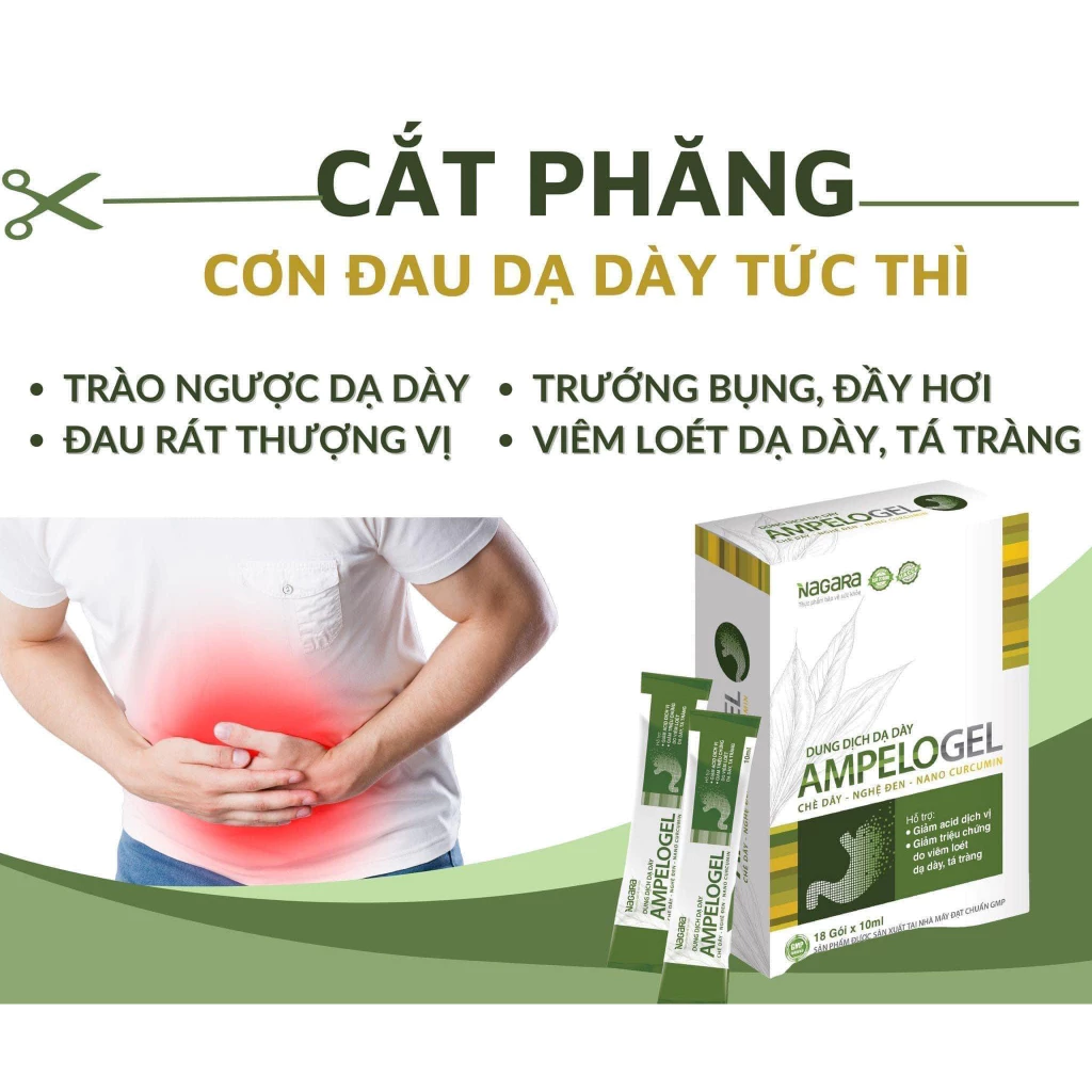 Dung dịch dạ dày Ampelogel, hỗ trợ viêm loét dạ dày thượng vị, trào ngược dạ dày, giảm chướng bụng, ợ chua ợ hơi H/18goi