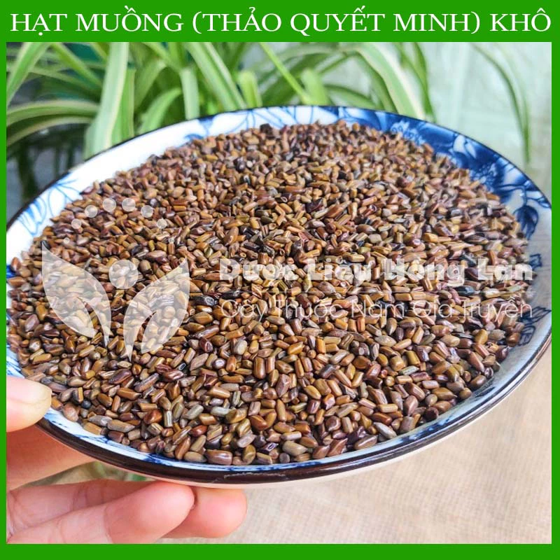 ✅[THƯỢNG HẠNG] Hạt Muồng (Hạt Thảo Quyết Minh) sấy khô - Giúp ngủ ngon