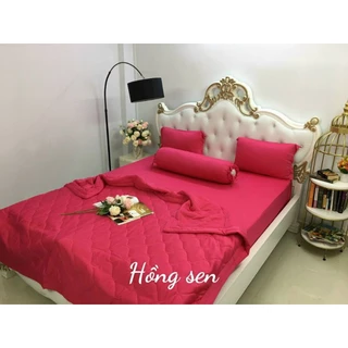 Bộ ga thun thun lạnh màu trơn[ CAO CẤP 4 MÓN] thun silk co giãn bốn chiều