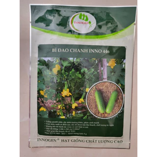 Hạt giống bí đao chanh INNO 446 gói 5G