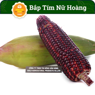 Hạt Giống Bắp Ngô Tím (Gói 20 Hạt ) Bắp Ngọt Tím Nữ Hoàng - Giống Bắp Ngọt Ăn Sống Nhiều Dinh Dưỡng - Nông Sản Vàng