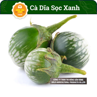 Hạt Giống Cà Dĩa Sọc Xanh (1 Gram) - Dễ Trồng, Phát Triển Khỏe, Sai Trái, Khả Năng Kháng Bệnh Tốt - Nông Sản Vàng