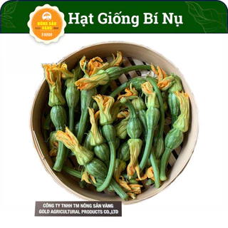 Hạt Giống Bí Nụ Ăn Non Giòn, Ngọt (gói 10 Hạt),  Siêu Nụ, Dễ Trồng Và Chăm Sóc, Kháng Bệnh Tốt - Nông Sản Vàng