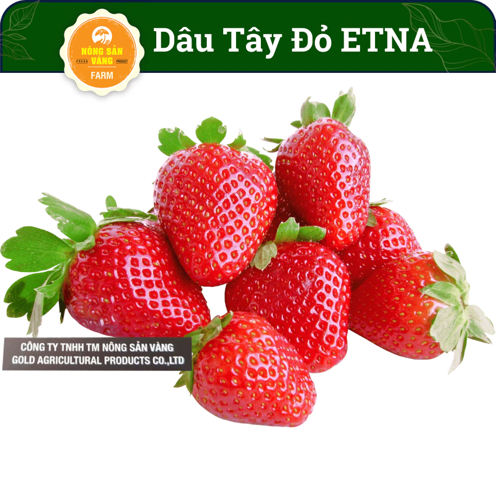 Hạt giống Dâu Tây Đỏ  ETNA Chịu Nhiệt Được Yêu Thích Nhất, Vị Chua Chua Ngọt Ngọt Dễ Nghiền (Gói 0.05g) - Nông Sản Vàng