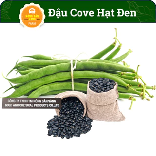 Hạt giống Đậu Cove Hạt Đen Dễ Trồng, Quả Đậu Màu Xanh, Hạt Bên Trong Màu Đen (Gói 20 Gram) - Nông Sản Vàng