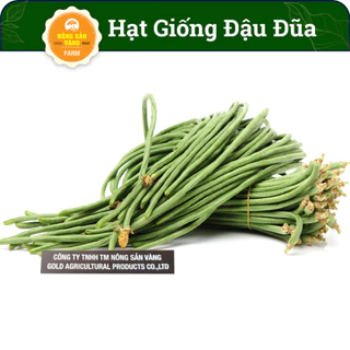 Hạt Giống Đậu Bún (Đậu Đũa) Nảy Mầm Cao, Dễ Chăm Sóc, Giàu Giá Trị Dinh Dưỡng (Gói 20 Gram)- Nông Sản Vàng