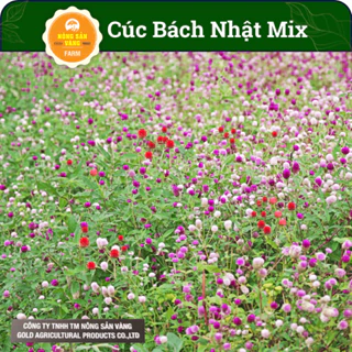 Hạt Giống Hoa Cúc Nút Áo Mix, Tuyệt Đẹp Cho Khu Vườn Của Bạn, (Gói 50 Hạt), Hạt Giống Hoa Cúc Bách Nhật - Nông Sản Vàng