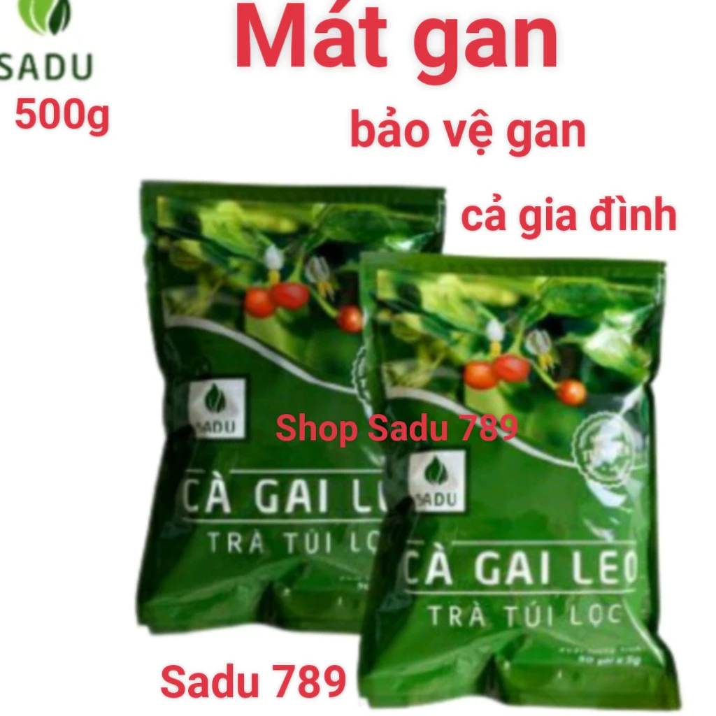 Trà cà gai leo túi lọc Sadu 500g (100 túi lọc) thải độc gan, mát gan-thanh nhiệt cơ thể