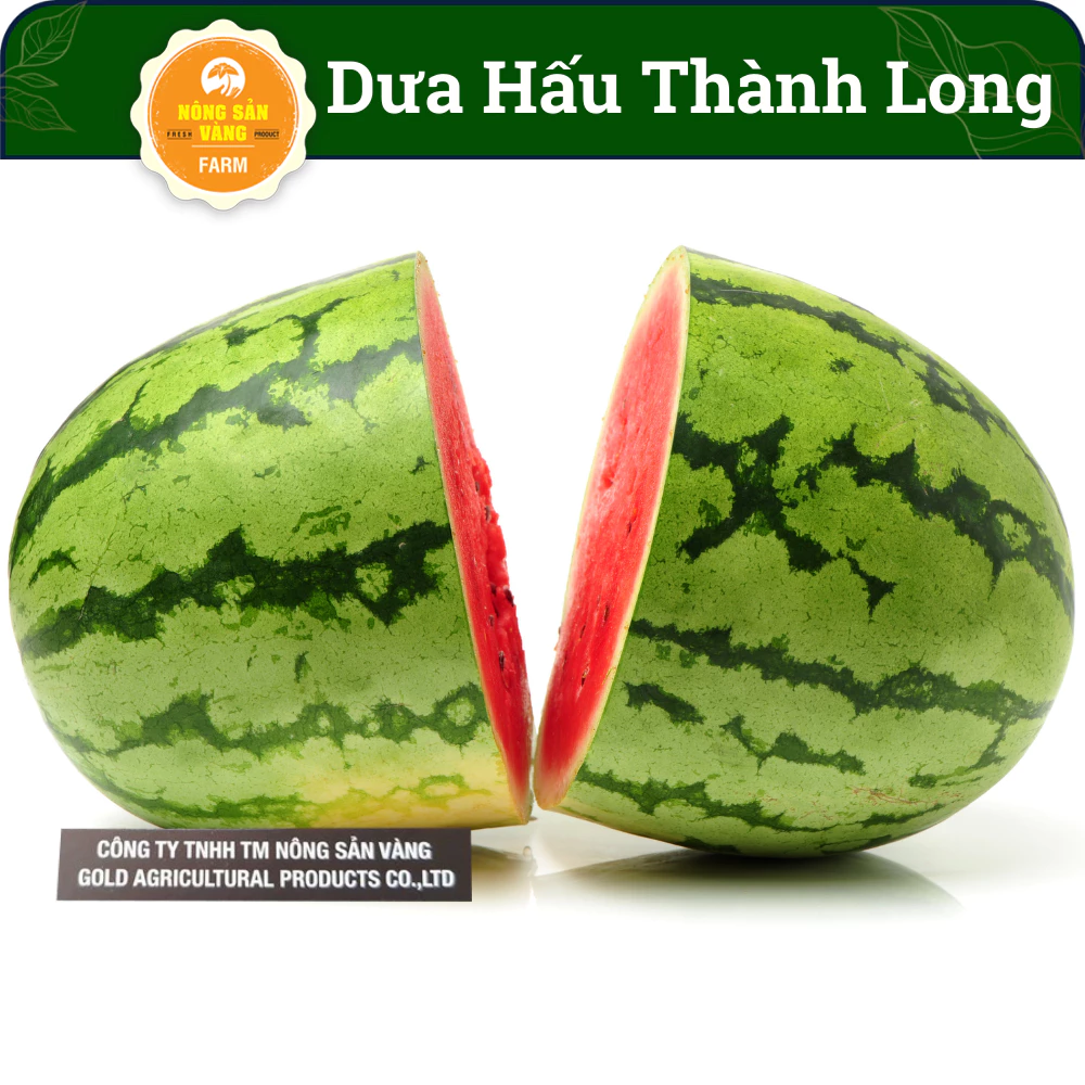 Hạt Giống Dưa Hấu Thành Long (Dưa Mỹ), siêu ngọt, siêu ngon (Gói 10 Hạt)- Nông Sản Vàng