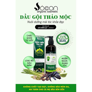 DẦU GỘI ĐẦU THẢO MỘC SÓC CON