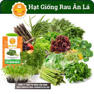 Tổng Hợp Các Loại Hạt giống Rau Ăn Lá, Chịu Nhiệt, Trồng Quanh Năm, Dễ Trồng, Năng Suất Cao - Nông Sản Vàng