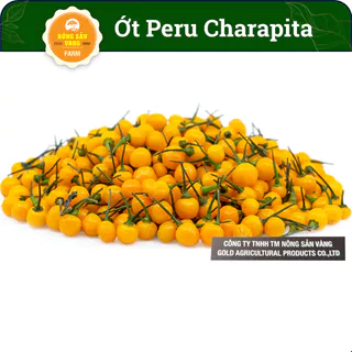 Hạt Giống Ớt Aji Charapita/ Ớt Peru Mắc Nhất Thế Giới (15 Hạt), Giống Chuẩn, Dễ Trồng, Siêu Cay - Nông Sản Vàng