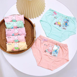 Quần chip bé gái chất cotton Quần lót bé gái mùa hè size 8-35kg