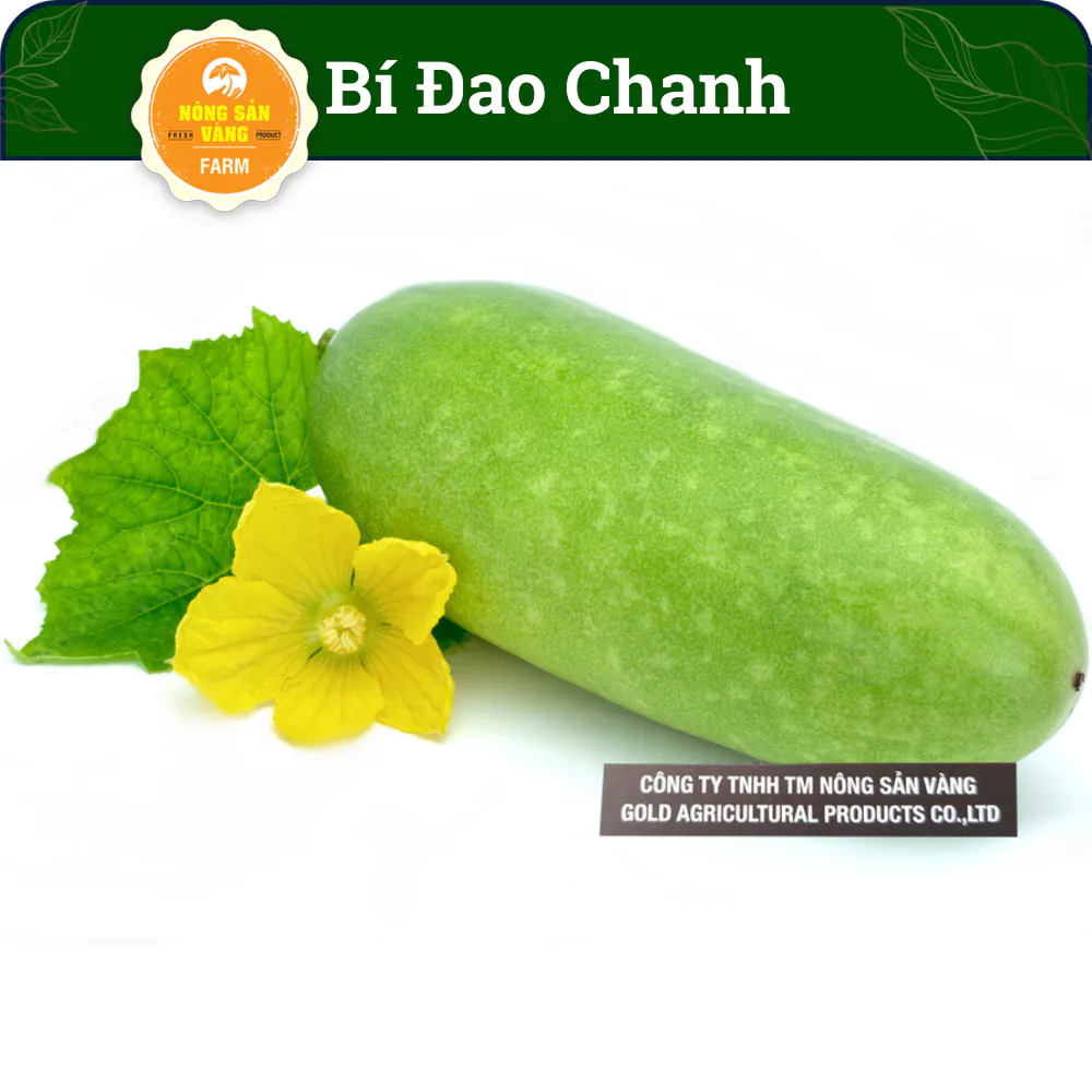 Hạt giống Bí Đao Chanh F1, Năng suất cao (Gói 15 Hạt) - Nông Sản Vàng