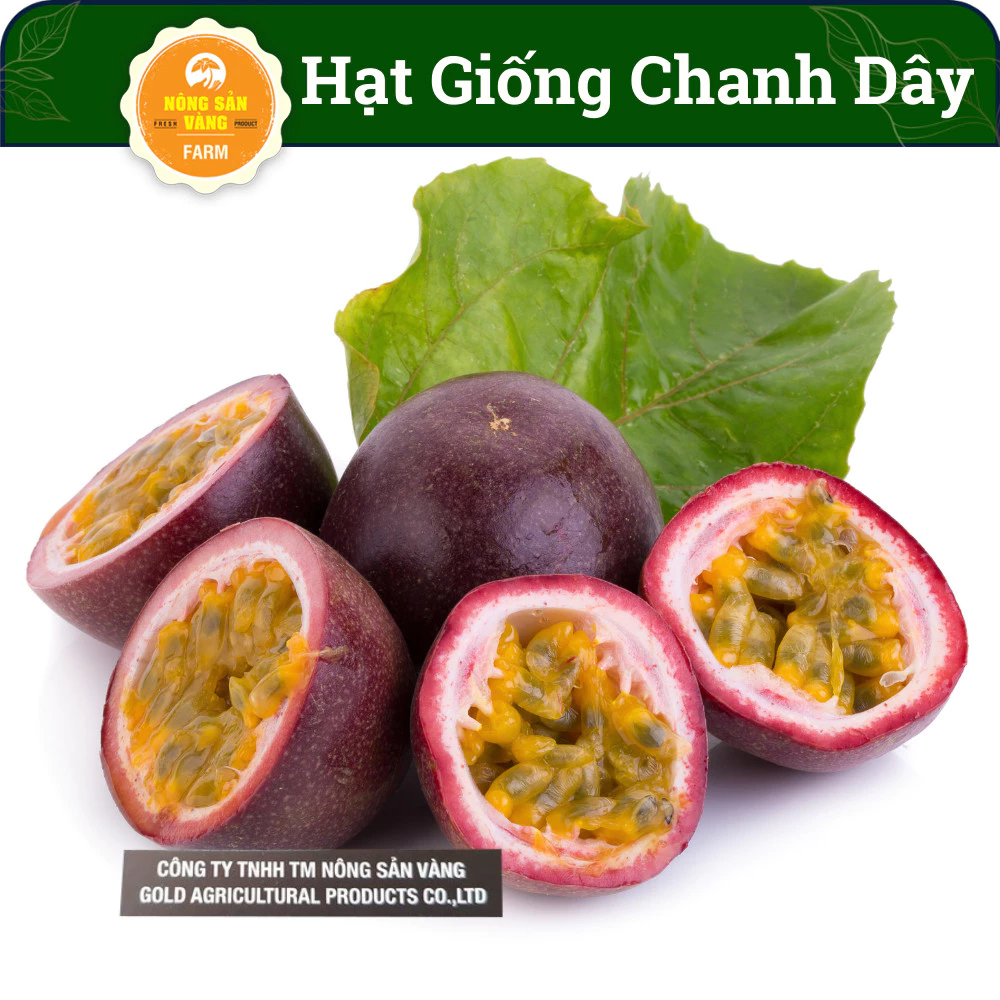 Hạt giống Chanh Dây, Trái Cây Nhiệt Đới, Giàu Dinh Dưỡng, Chế Biến Thành Nước Giải Khát (Gói 50 Hạt) - Nông Sản Vàng