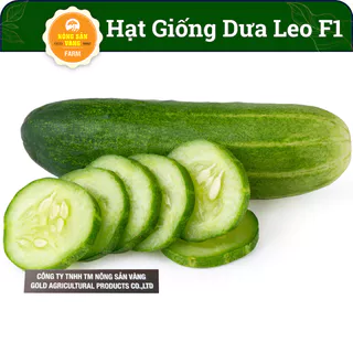 Hạt giống Dưa Leo F1 (Dưa Chuột) Tỉ Lệ Nảy Mầm Cao, Cây Khỏe, Năng Suất Cao (Gói 20 Hạt) - Nông Sản Vàng