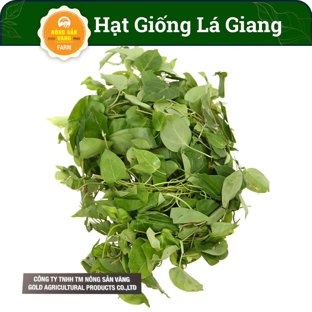 [HCM]Hạt Giống Lá Giang, Cây Leo Giàn, Nấu Canh Rất Ngon Và Bổ Dưỡng (Gói 10 Hạt) - Nông Sản Vàng