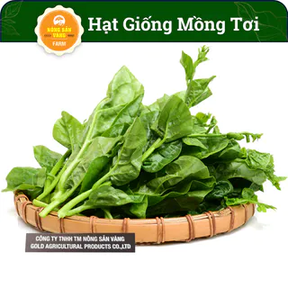 Hạt giống Mồng Tơi Xanh Tỉ Lệ Nảy Mầm Cao, Sinh Trưởng Và Phát Triển Khỏe, Năng Suất Cao (Gói 10 Gram) - Nông Sản Vàng