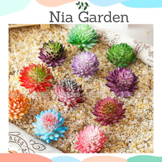 Sen đá giả decor chậu cây để bàn mini cây sen đá nhựa nhân tạo cao cấp trang trí Nia Garden N10