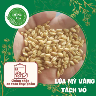 Lúa Mạch Tách Vỏ chất lượng tốt cho sức khỏe