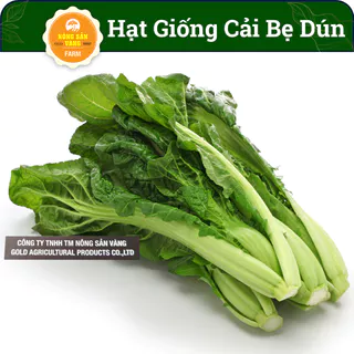 Hạt giống Cải Bẹ Dún Dễ Trồng, Năng Suất Cao (Gói 10 Gram) - Nông Sản Vàng