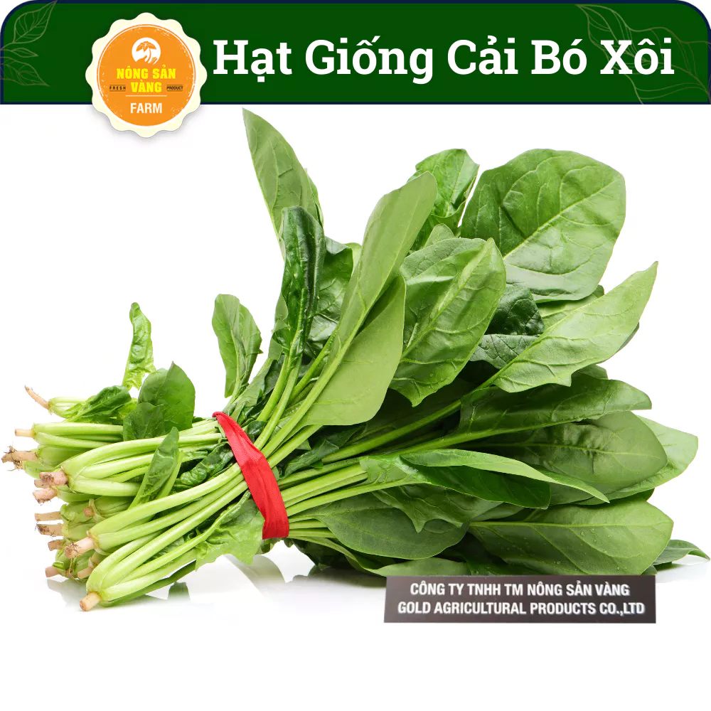 Hạt giống Cải Bó Xôi Chịu Nhiệt F1 (Gói 5 Gram) - Nông Sản Vàng