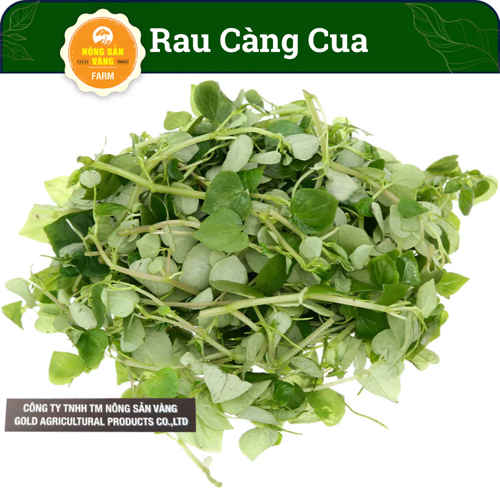 Hạt giống Rau Càng Cua, Dễ Trồng Dễ Chăm Sóc, Công Dụng Thanh Nhiệt Rất Tốt Cho Sức Khỏe (Gói 0,5 Gram) - Nông Sản Vàng