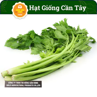 [HCM]Hạt giống Rau Cần Tây Ưa Thích Nhiệt Độ Và Độ Ẩm Mát Mẻ Năng Suất Cao (Gói 5 Gram) - Nông Sản Vàng